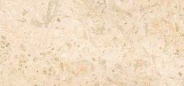 New Beige