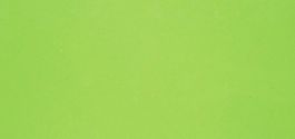 Verde Fun